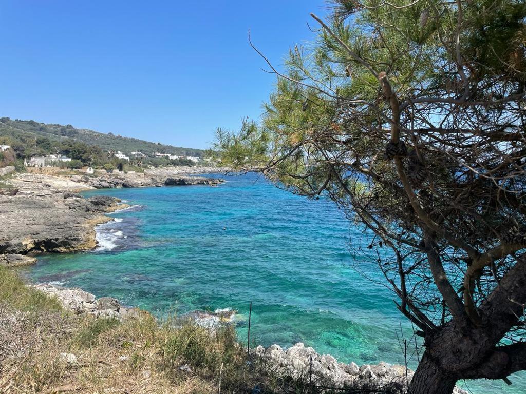 A Quai A Chiara Villa Andrano Dış mekan fotoğraf